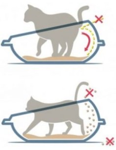 Lettiera Vaschetta Shuttle Toilette Gatto in Plastica 45Cm-www.ronnypet.it/shop 2