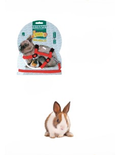 Parure per Coniglio-www.ronnypet.it/shop