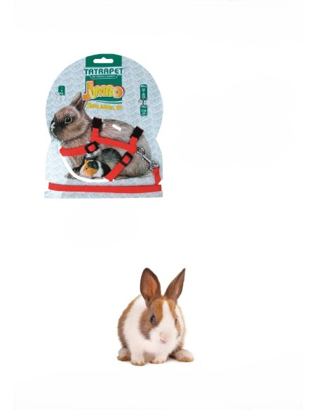 Parure per Coniglio-www.ronnypet.it/shop