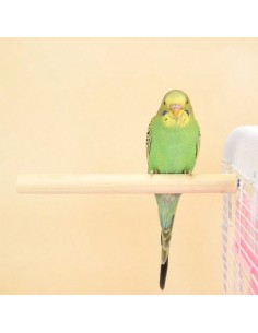 posatoio in legno-www.ronnypet.it/shop