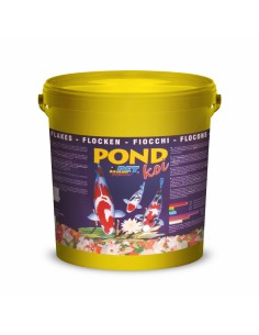 Dajana POND KOI-www.ronnypet.it/shop