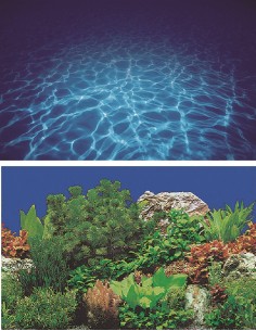 sfondo naturale per acquario-www.ronnypet.it/shop