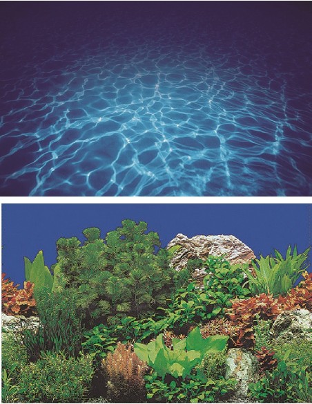 sfondo naturale per acquario-www.ronnypet.it/shop