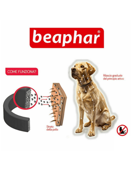 Beaphar Canishield Collare Antiparassitario-www.ronnypet.it/shop