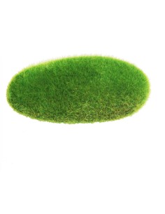 DECORAZIONE ACQUARIO-www.ronnypet.it/shop