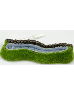 DECORAZIONE ACQUARIO-www.ronnypet.it/shop