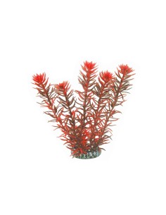PIANTE ARTIFICIALI ACQUARIO-www.ronnypet.it/shop