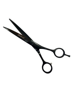 Forbice Professionale Special a lama Curva cm 17-www.ronnypet.it/shop